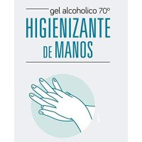 GEL ALCOHOLICO HIGIENIZANTE DE MANOS - ilvo.es