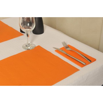 MANTELES INDIVIDUALES PAPEL 30 x 40 COLOR