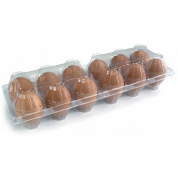 ESTUCHE 12 HUEVOS JUMBO